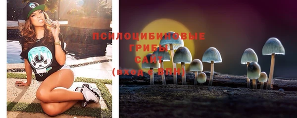 ГАЛЛЮЦИНОГЕННЫЕ ГРИБЫ Алексеевка