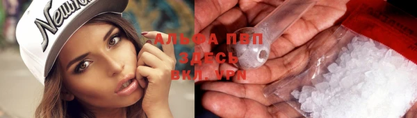гашик Абаза