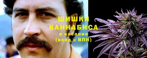 дурь Алексин