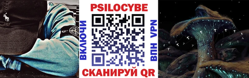 как найти наркотики маркетплейс формула Псилоцибиновые грибы Psilocybine cubensis Нюрба